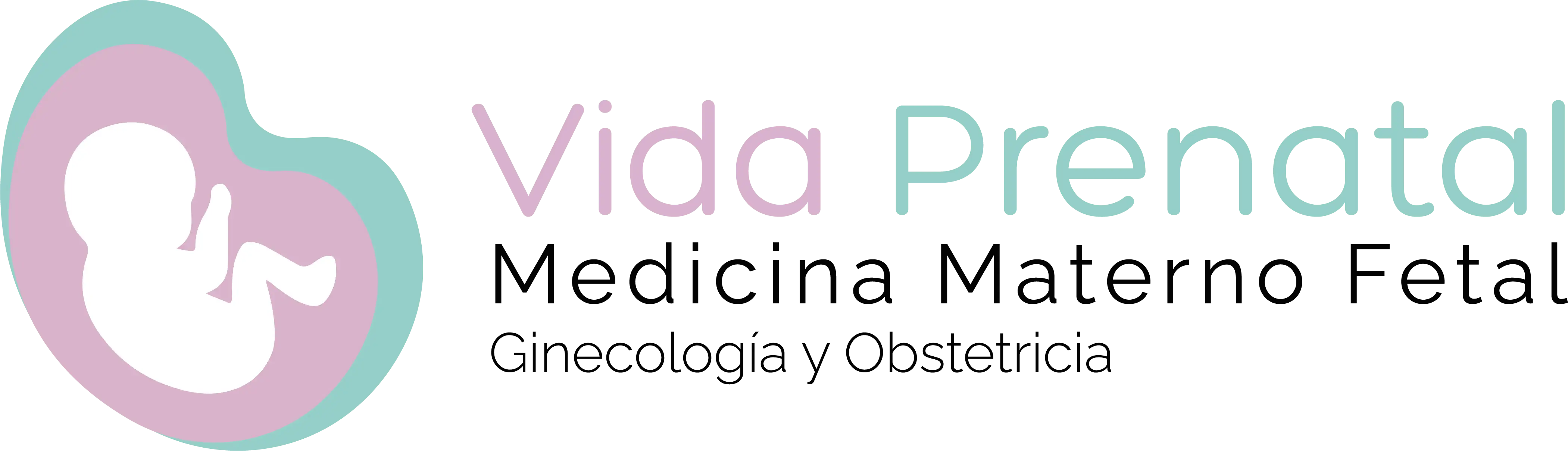 Logo Vida Prenatal