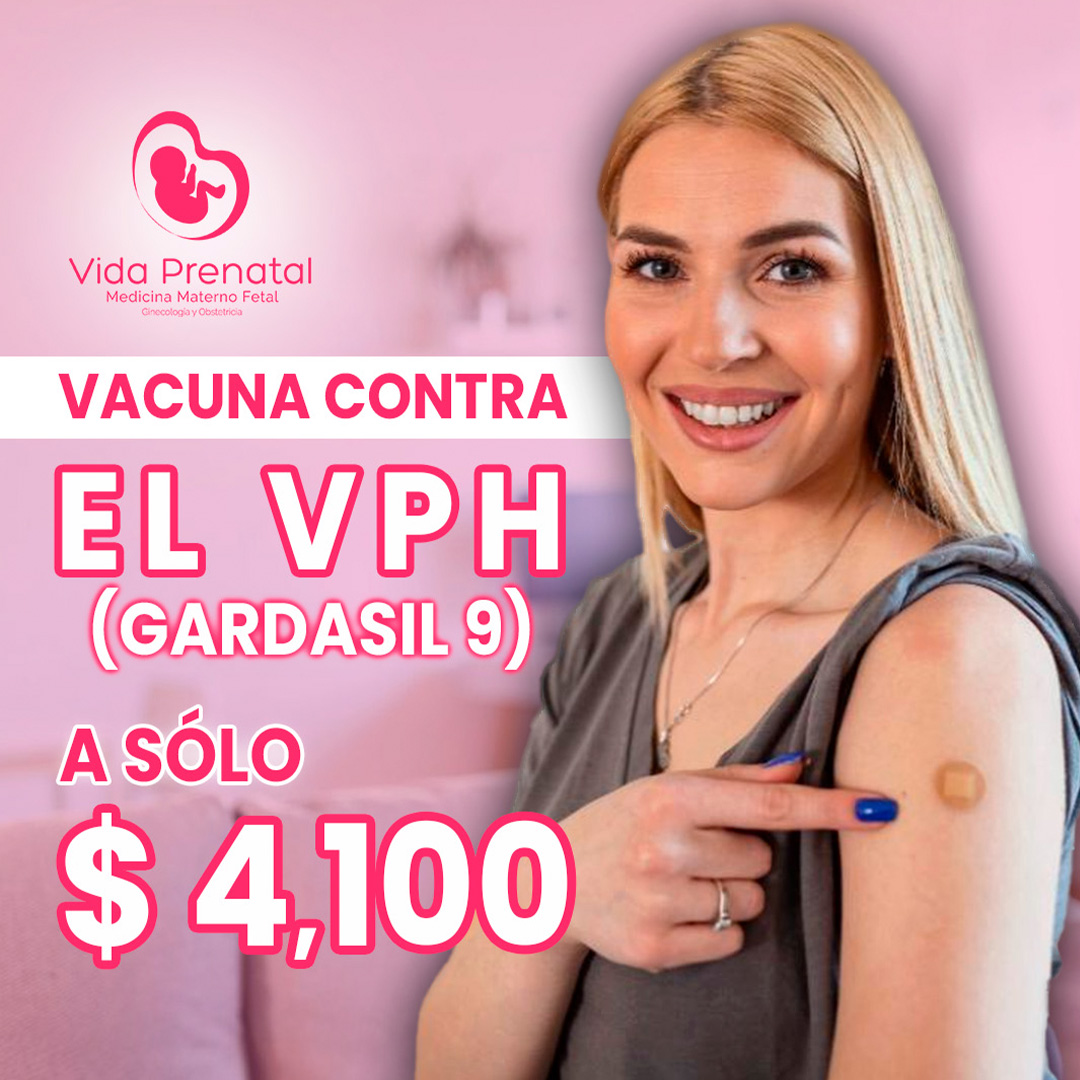 Promoción Ultrasonido Estructural 18-24 Semanas