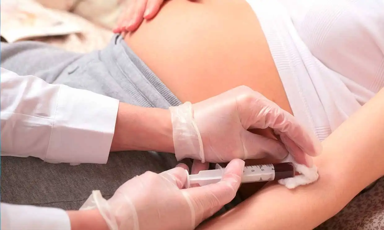 Imagen Presentación