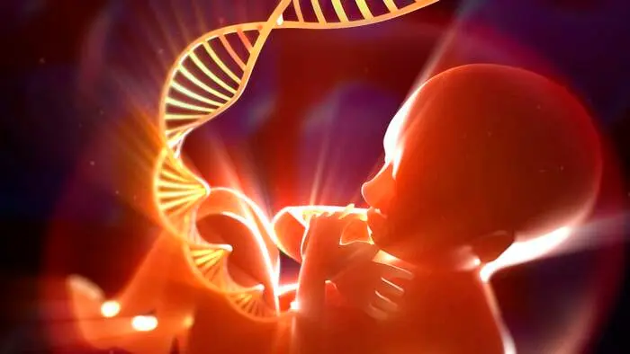 Imagen Presentación