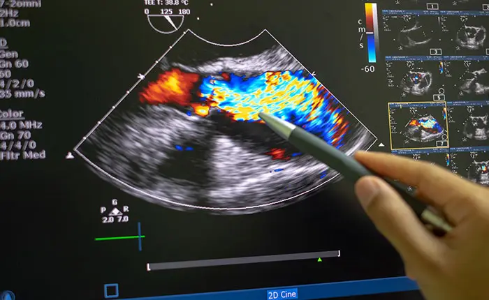 Imagen Presentación